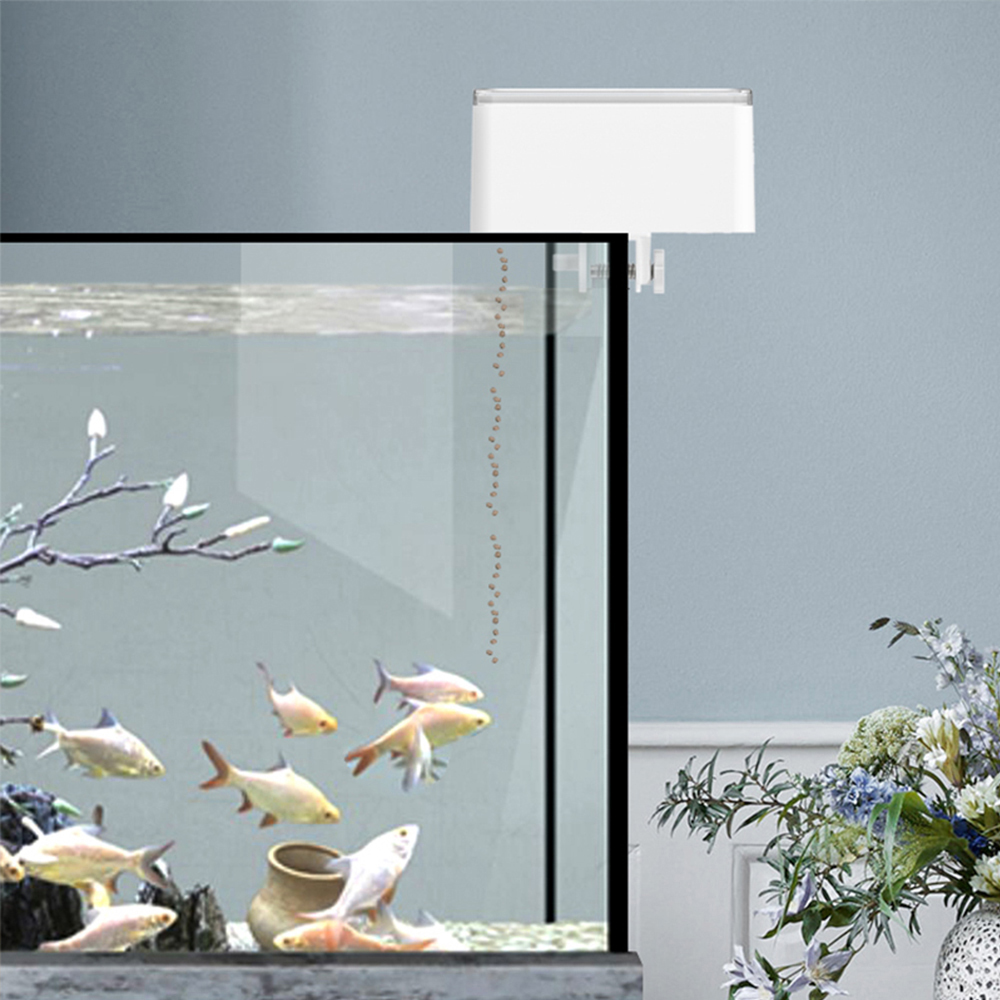 Small Fish Automatic Feeder Sm - đánh giá và giá Fishing Line Dispenser